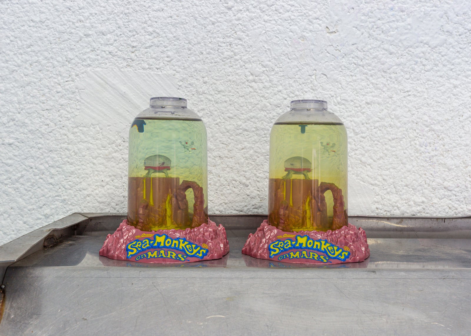 article image; primary-color: #B7B4AD;