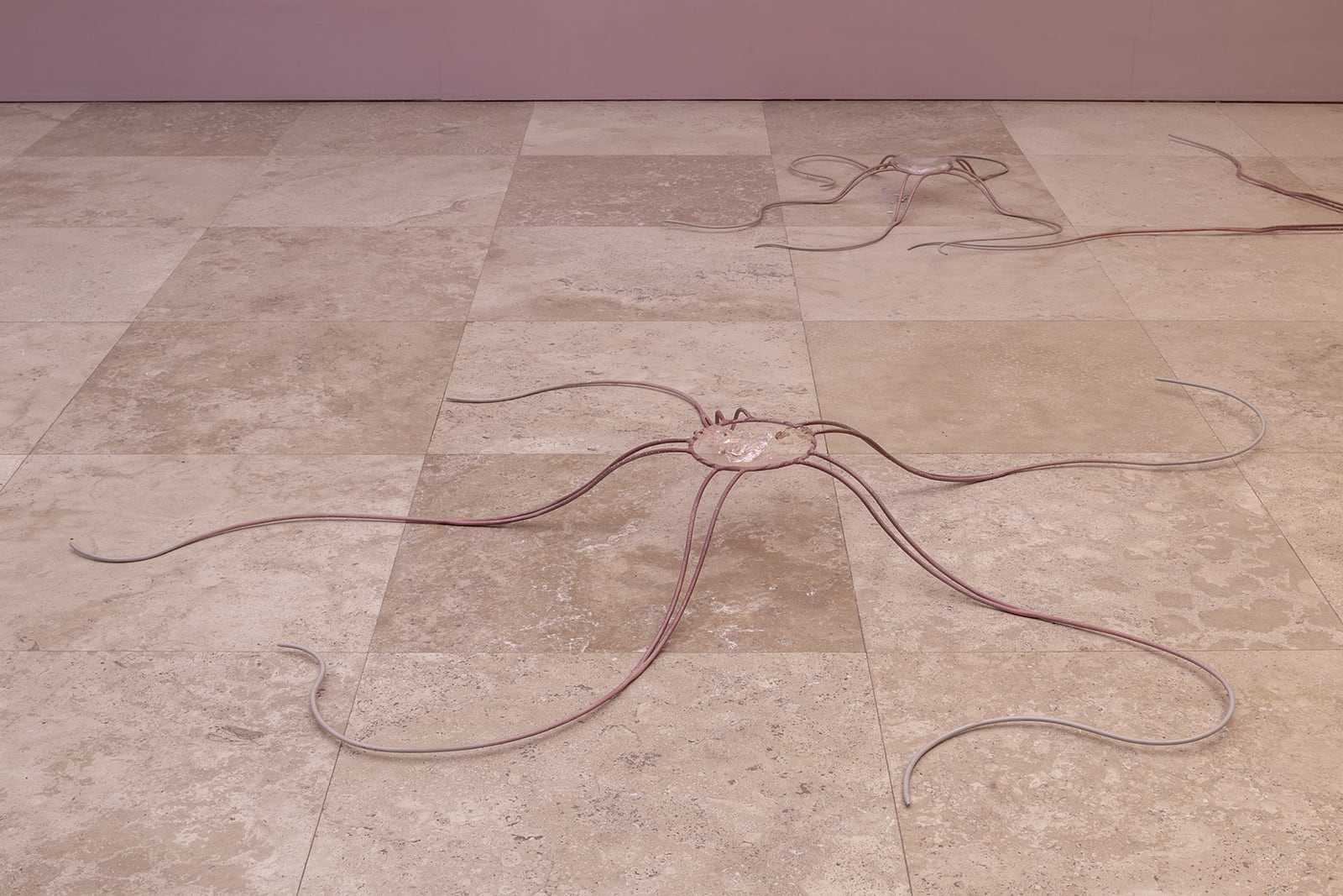 article image; primary-color: #B49990;