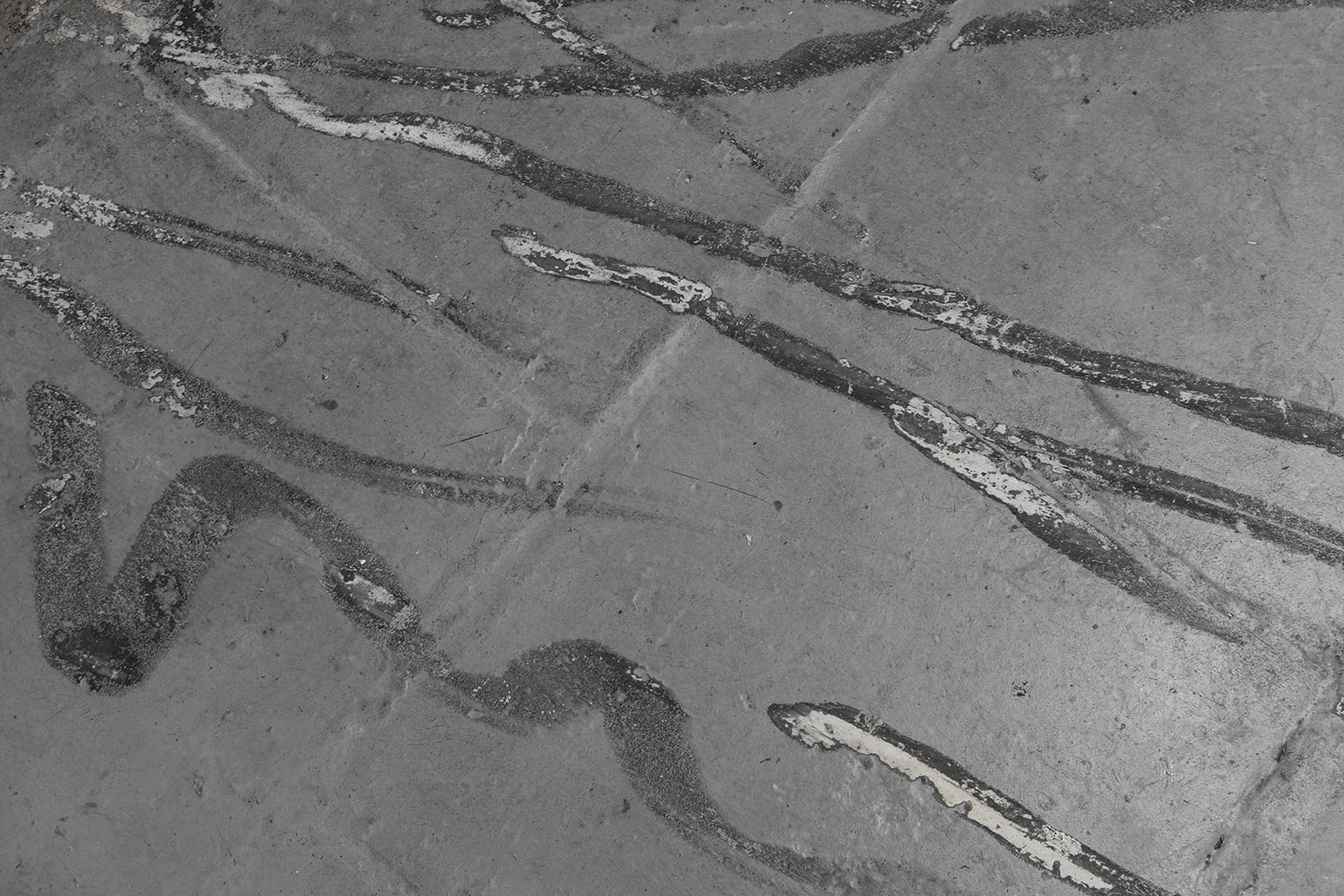 article image; primary-color: #737373;