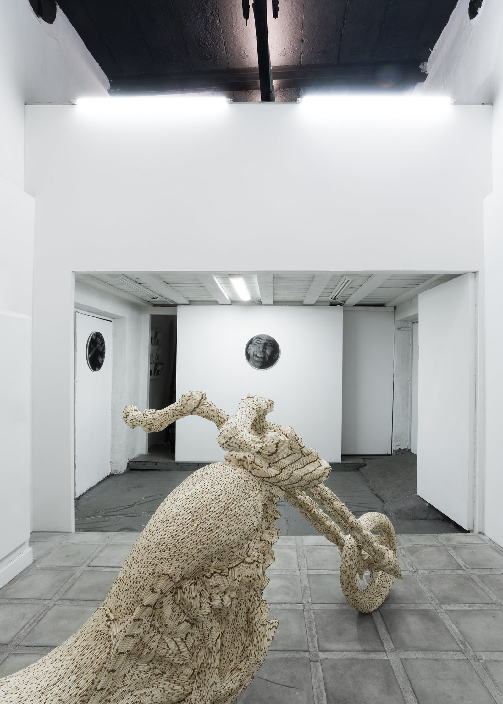 article image; primary-color: #A5A6A1;