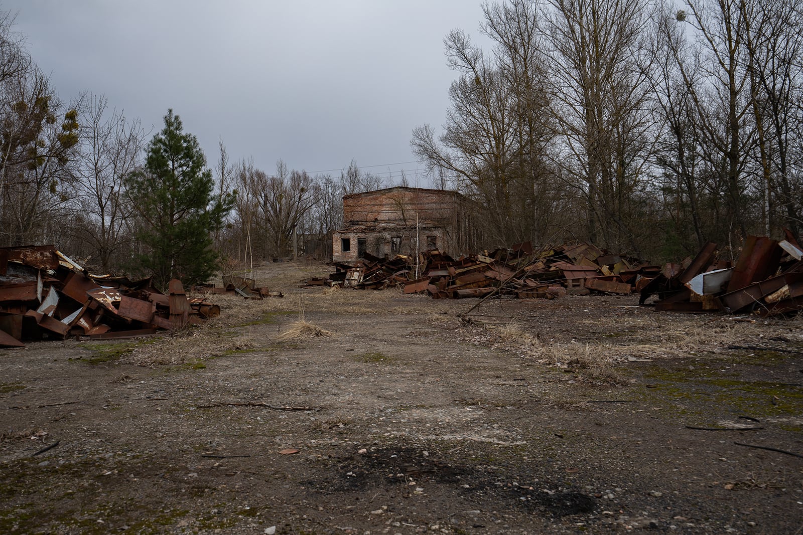 article image; primary-color: #5D5650;