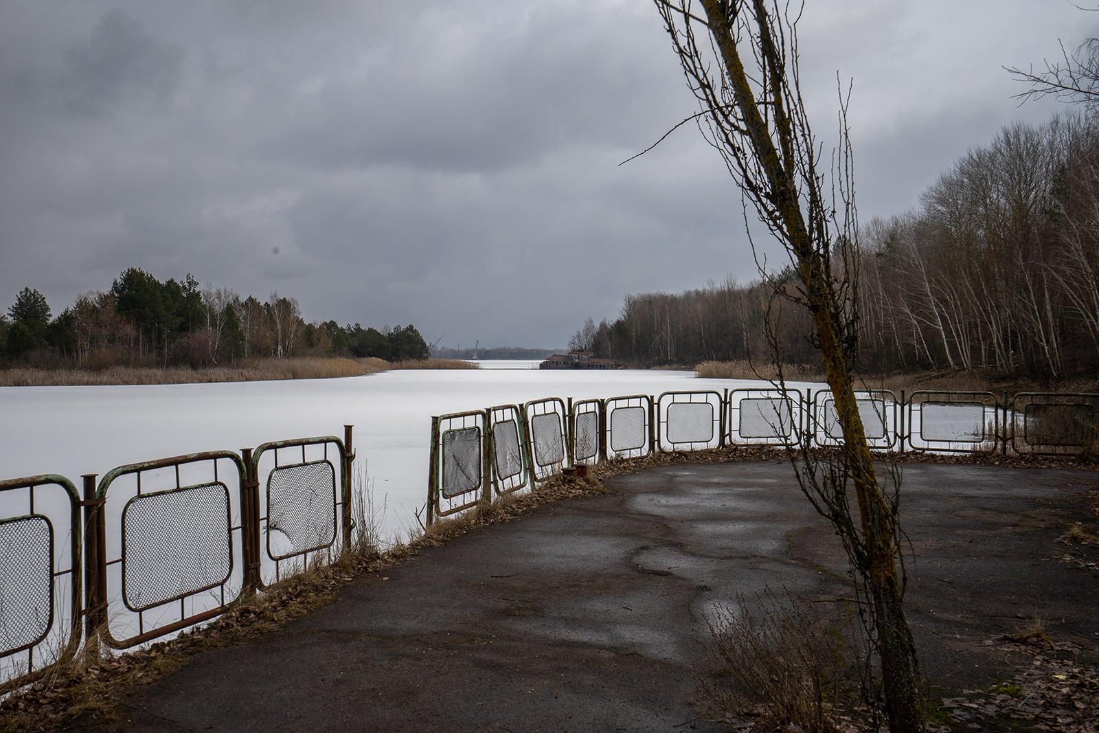 article image; primary-color: #6B666C;