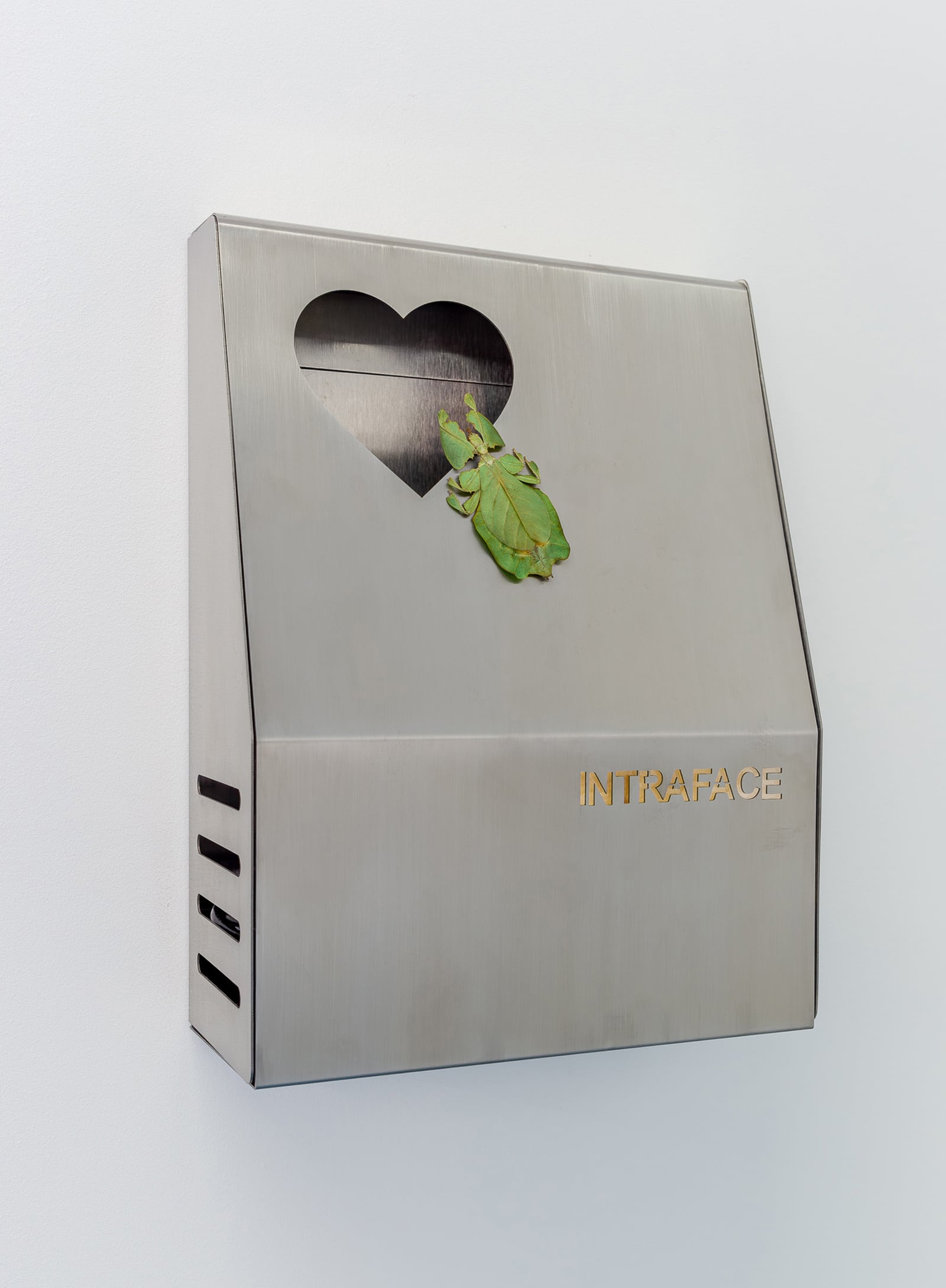 article image; primary-color: #BEBFBA;