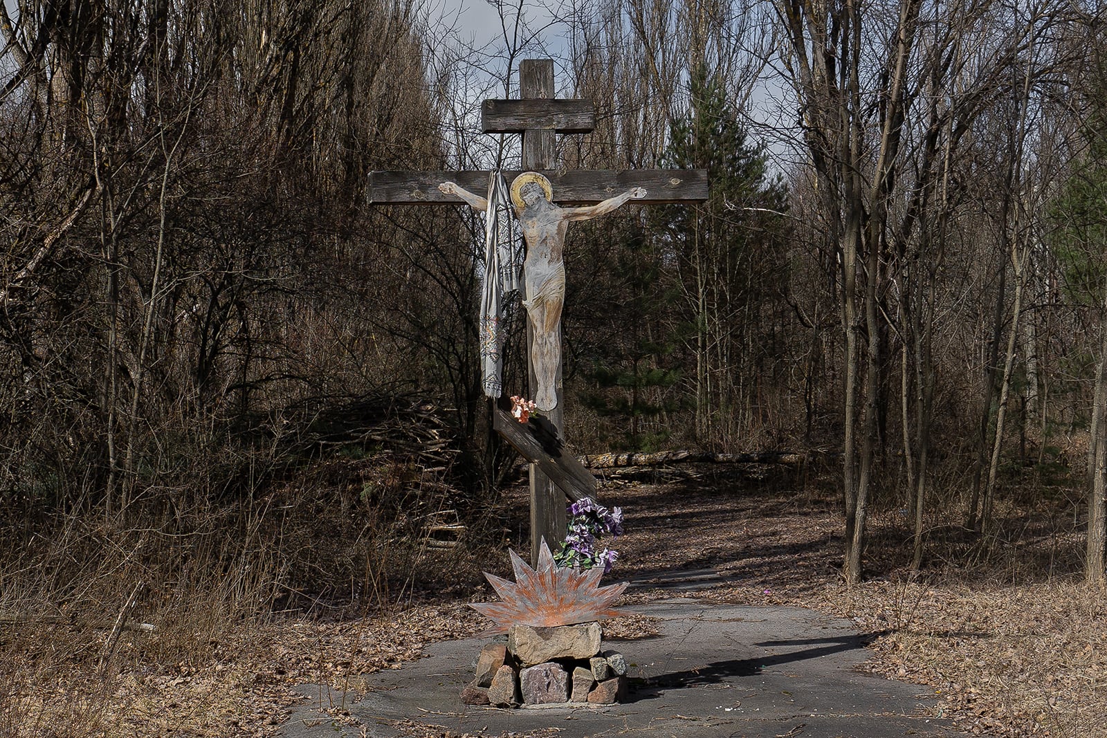 article image; primary-color: #483F38;