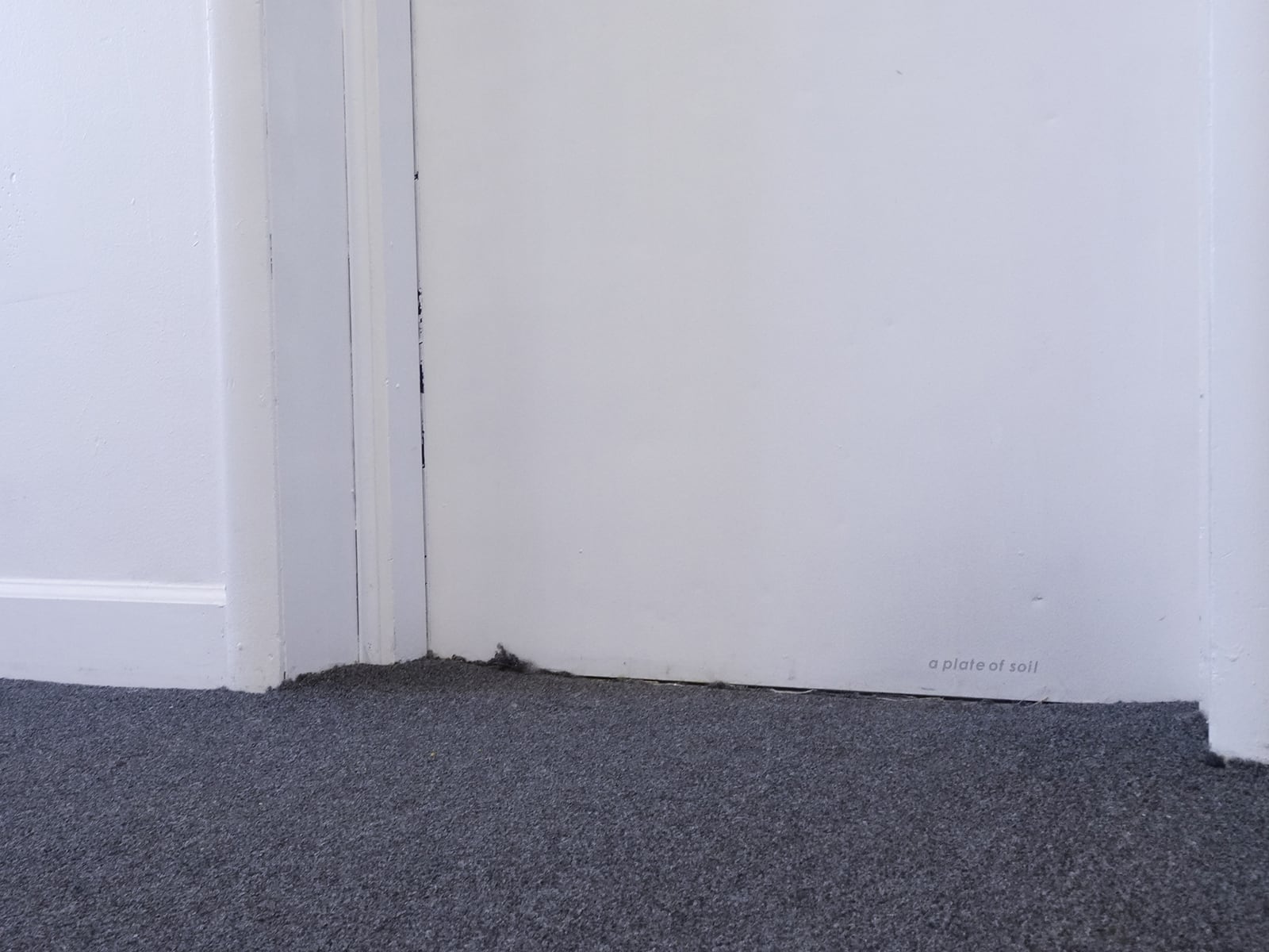 article image; primary-color: #9FA0B2;