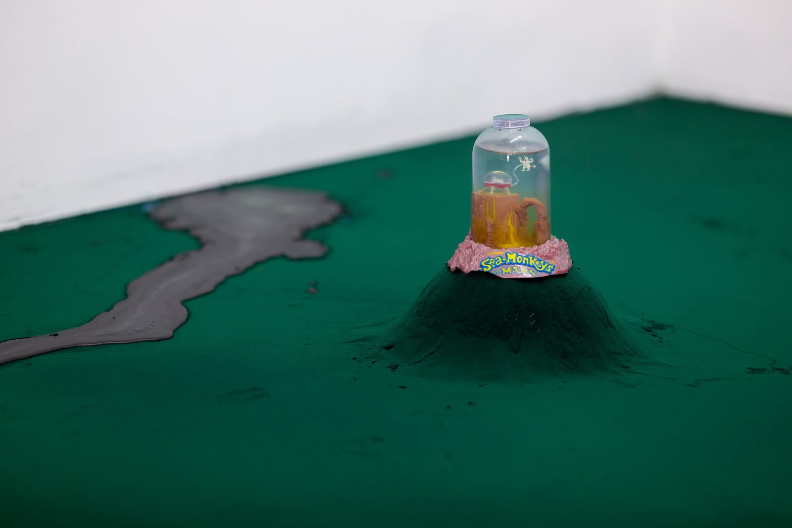 article image; primary-color: #49746D;