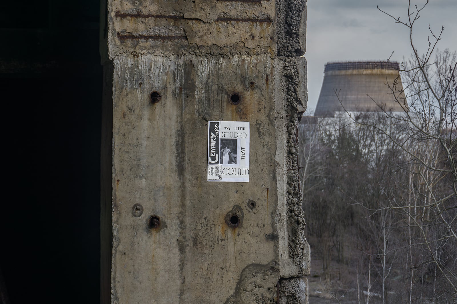 article image; primary-color: #4C4845;