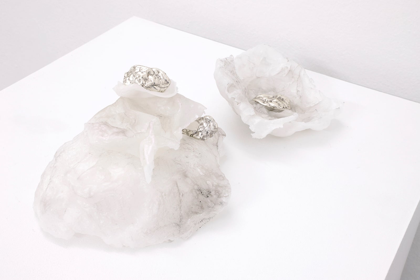 article image; primary-color: #EEEAEB;