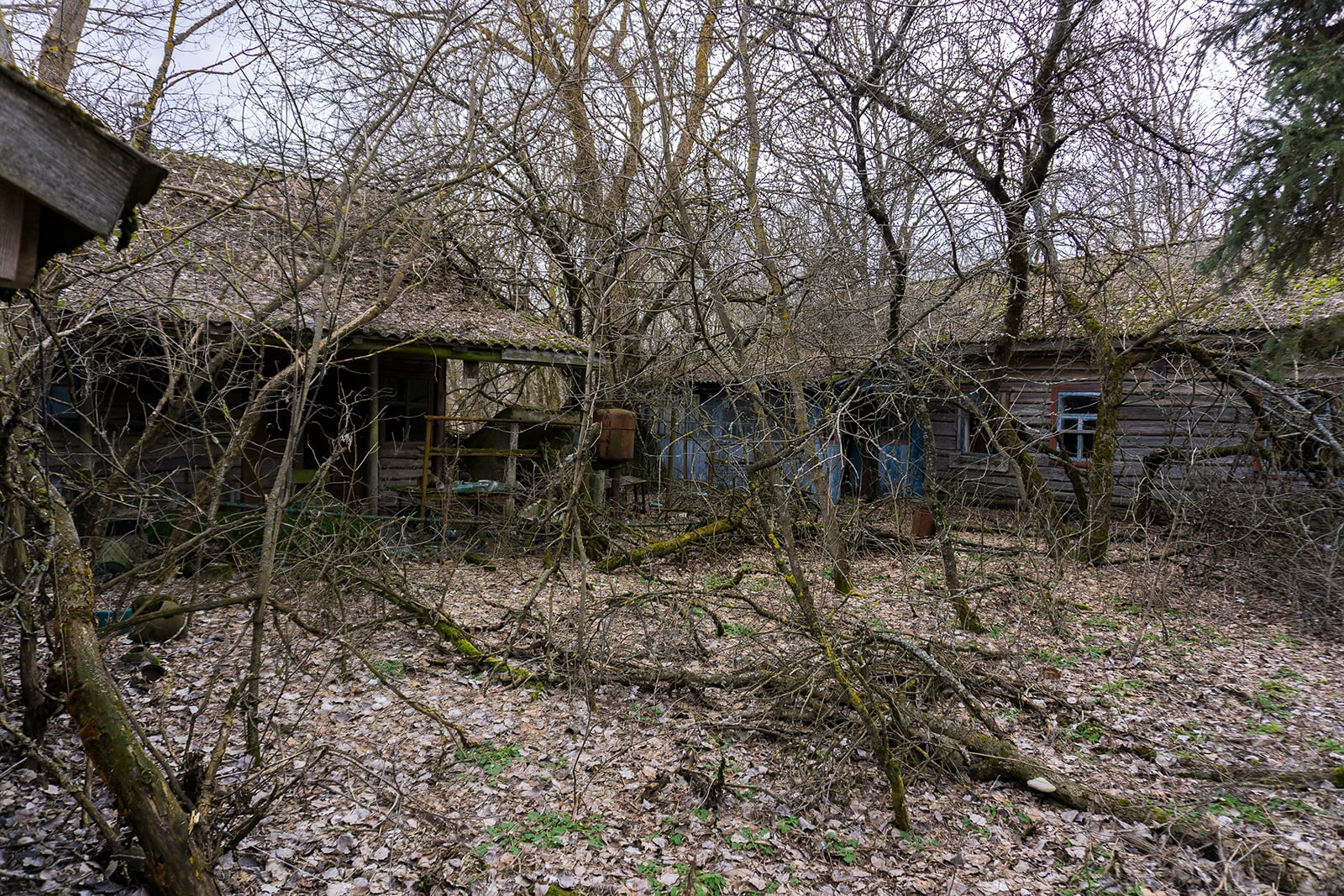 article image; primary-color: #645D55;