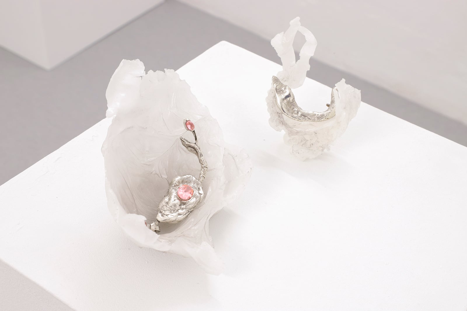 article image; primary-color: #E4DCDA;