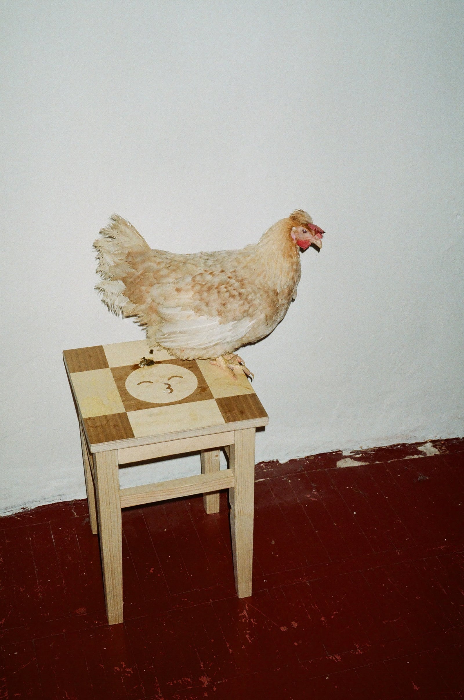 article image; primary-color: #98877F;