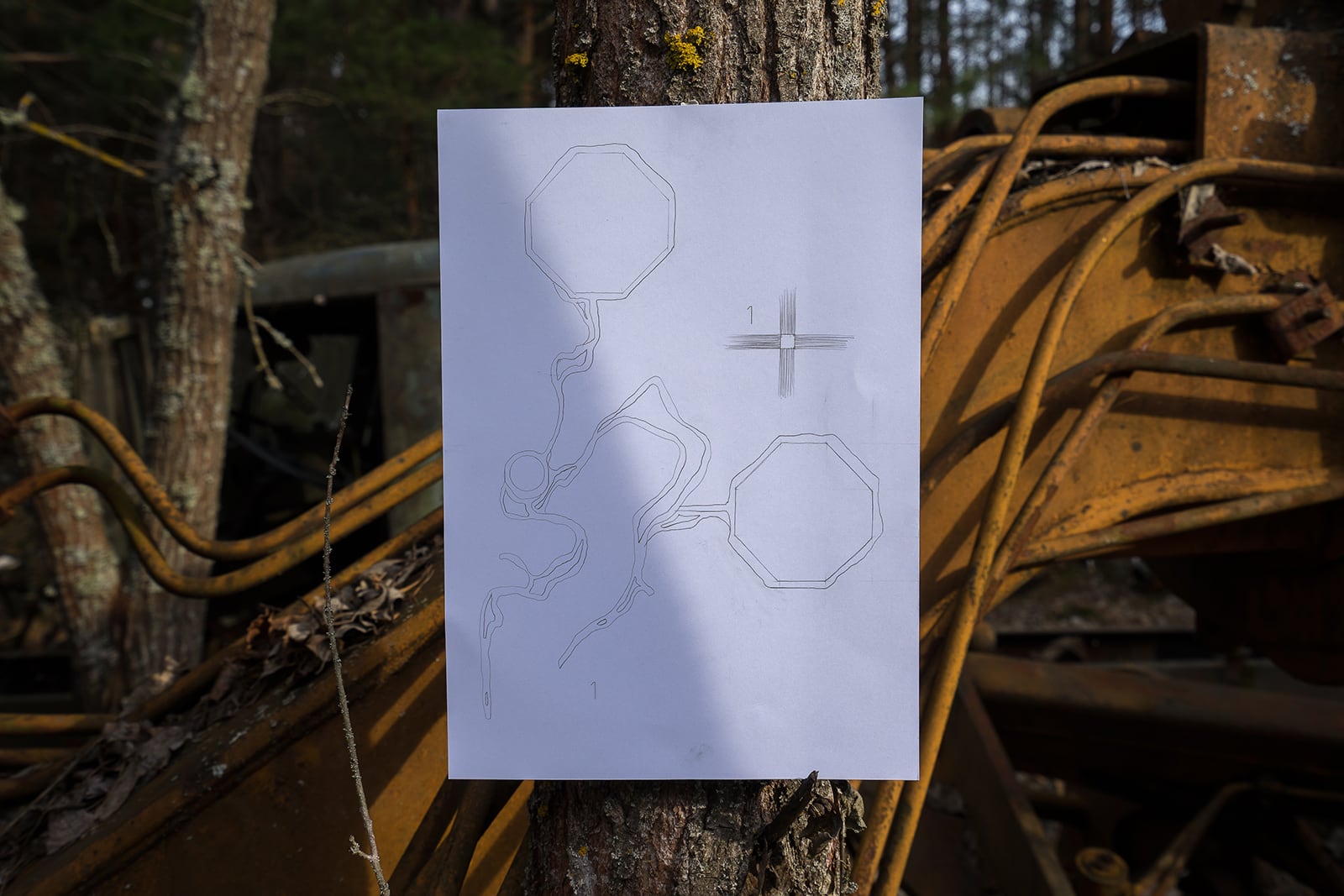 article image; primary-color: #504943;