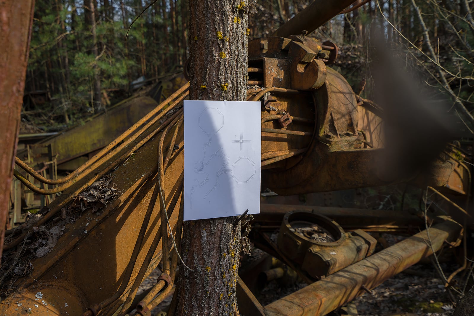 article image; primary-color: #423628;