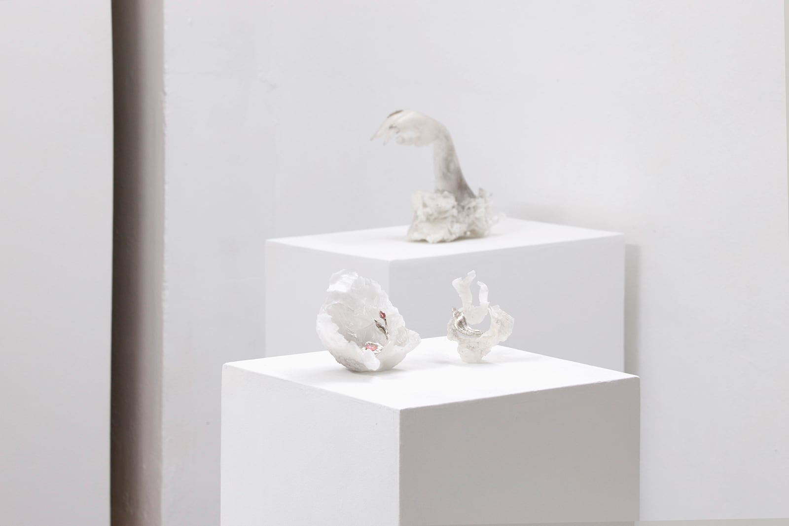 article image; primary-color: #D3CFD0;