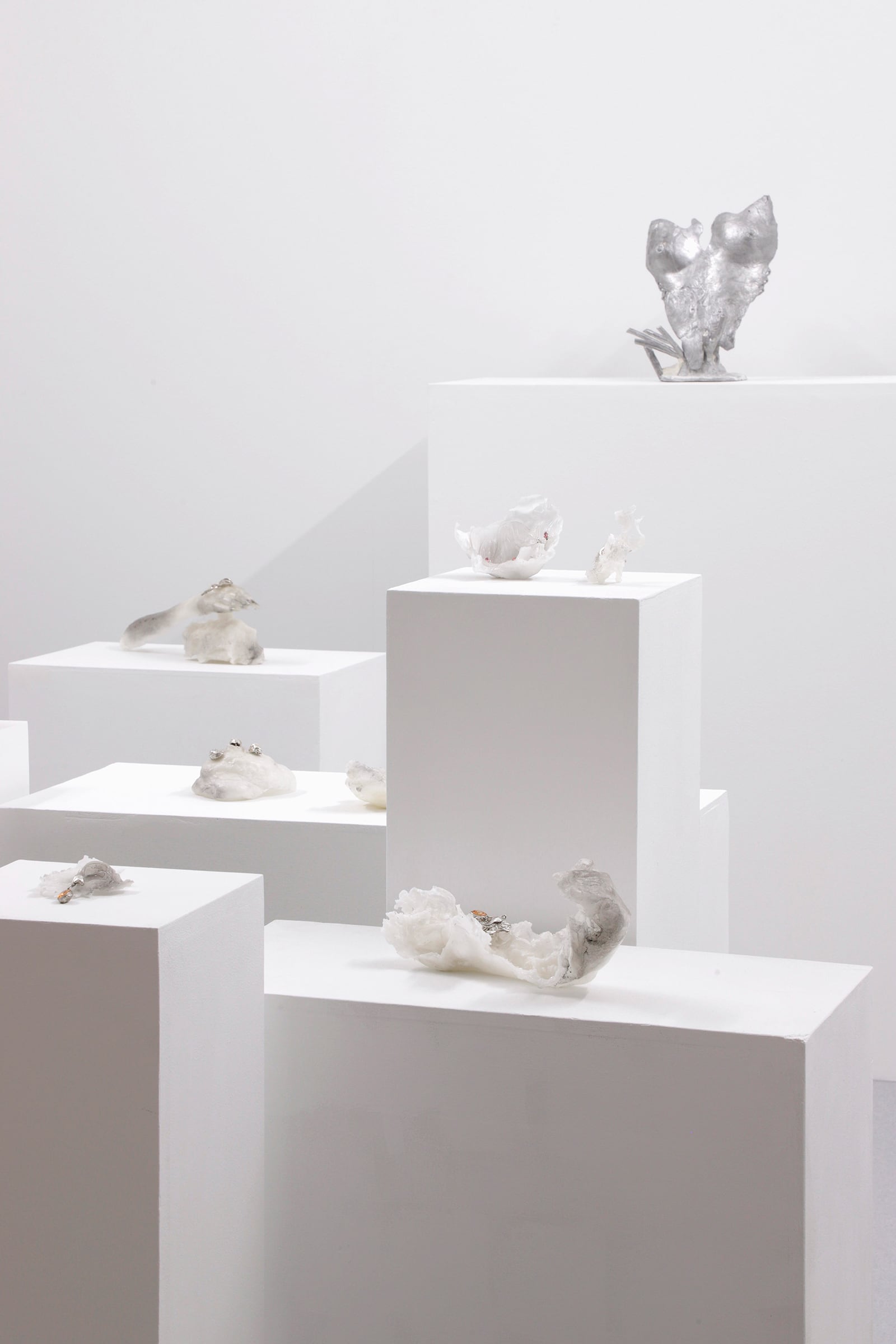 article image; primary-color: #CECACB;