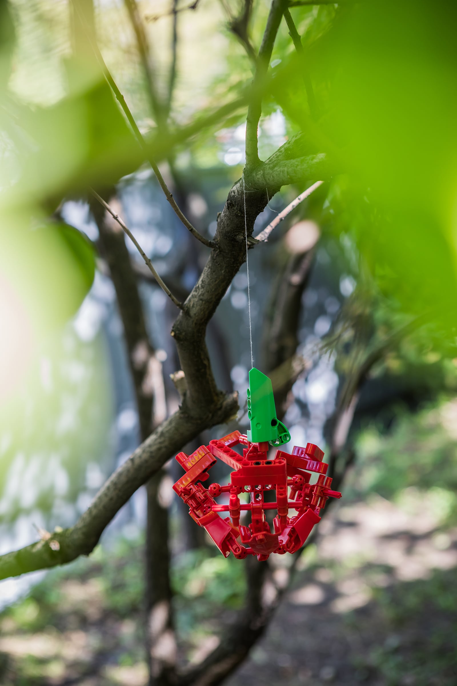 article image; primary-color: #7A855B;