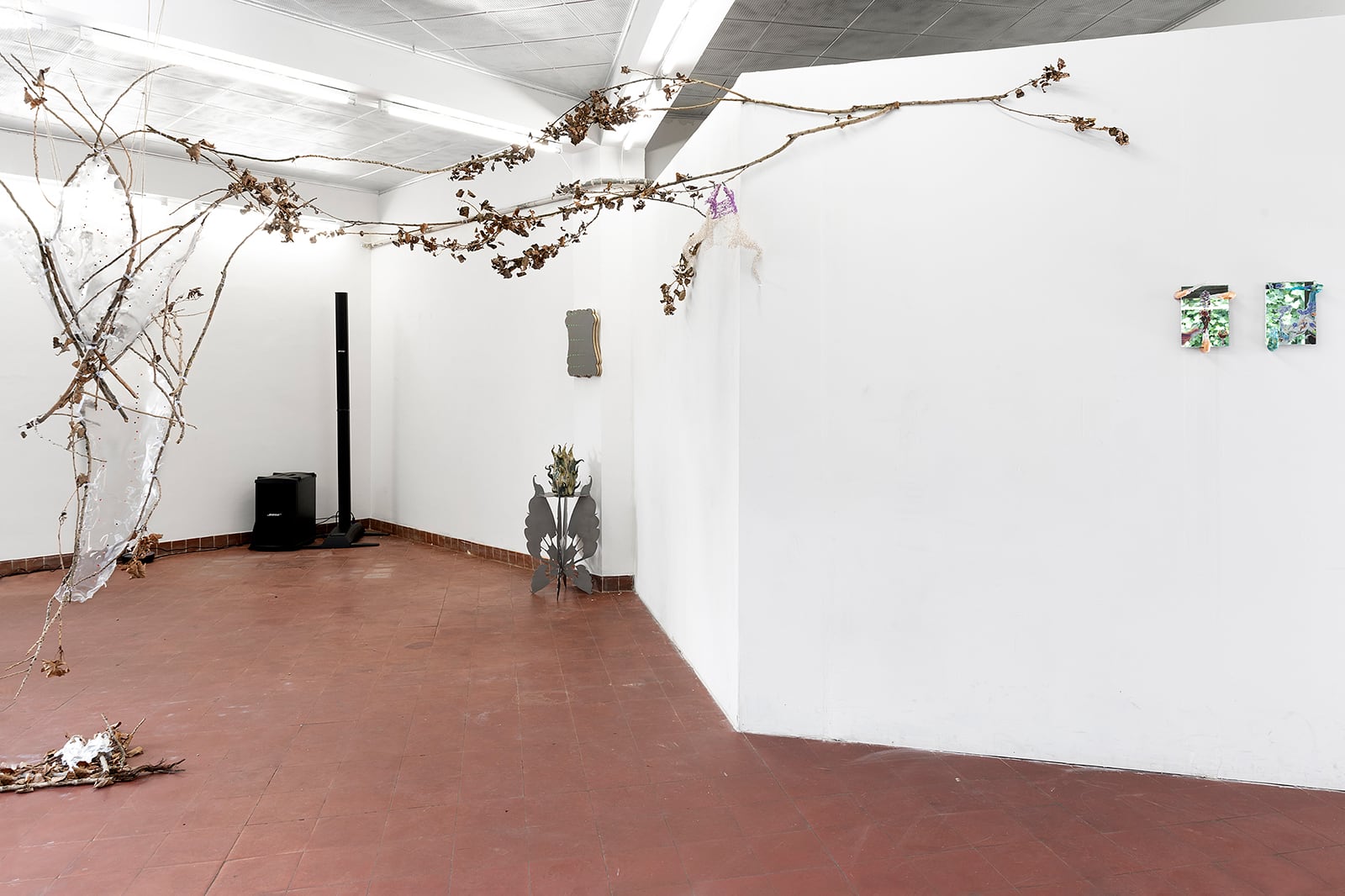 article image; primary-color: #C9BBB8;