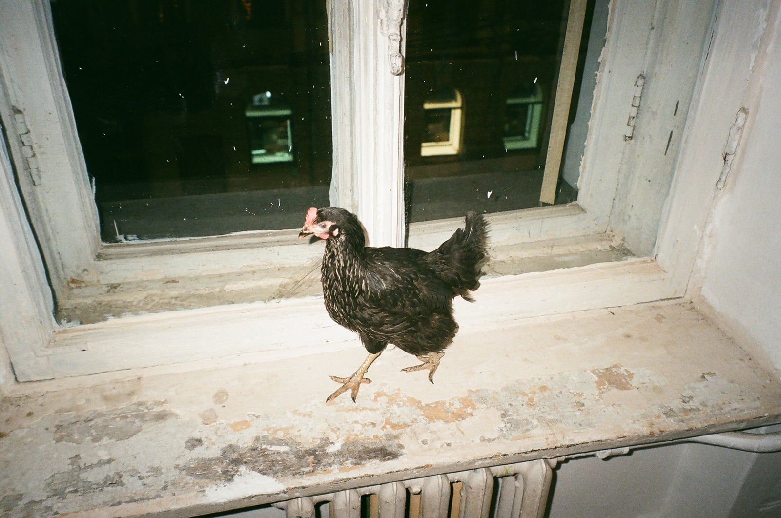 article image; primary-color: #908F7D;