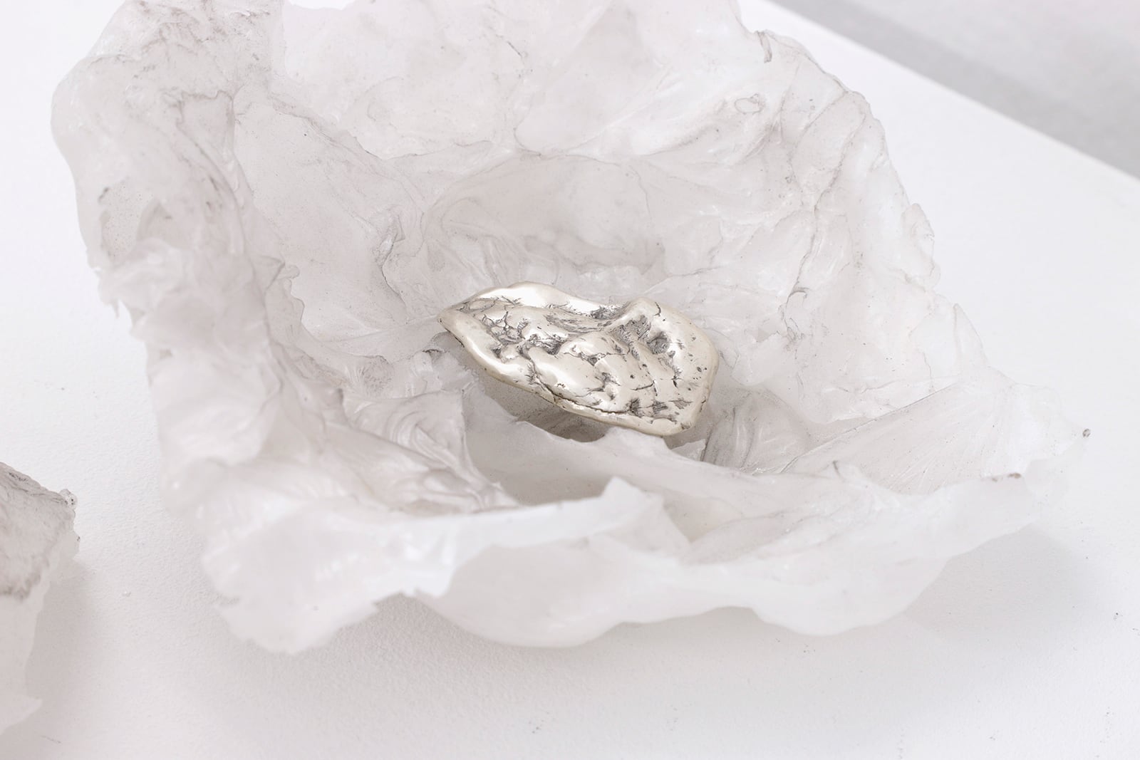 article image; primary-color: #DCD8D9;