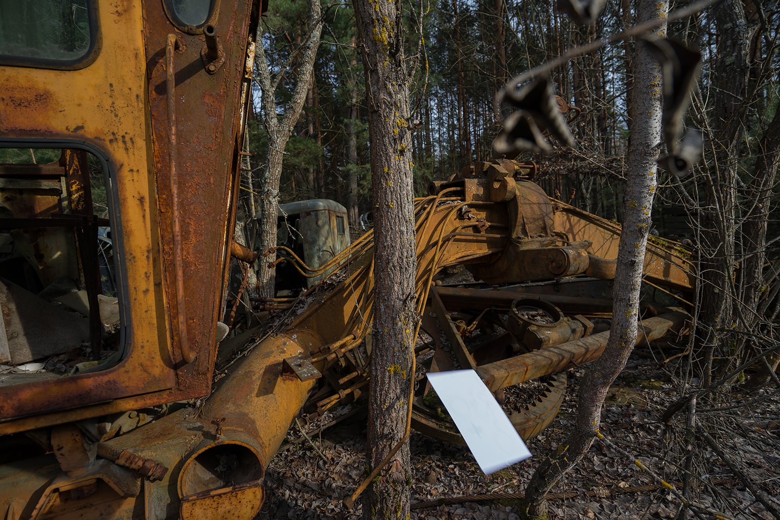 article image; primary-color: #3F3325;