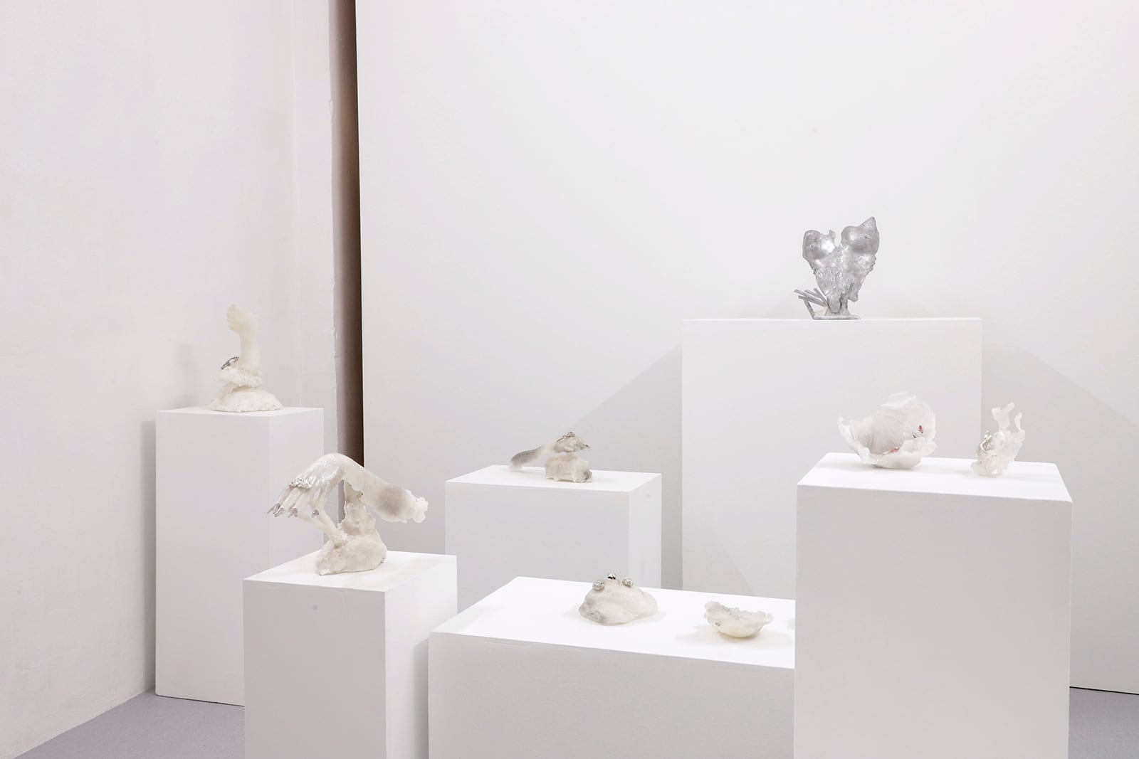 article image; primary-color: #DBD7D8;