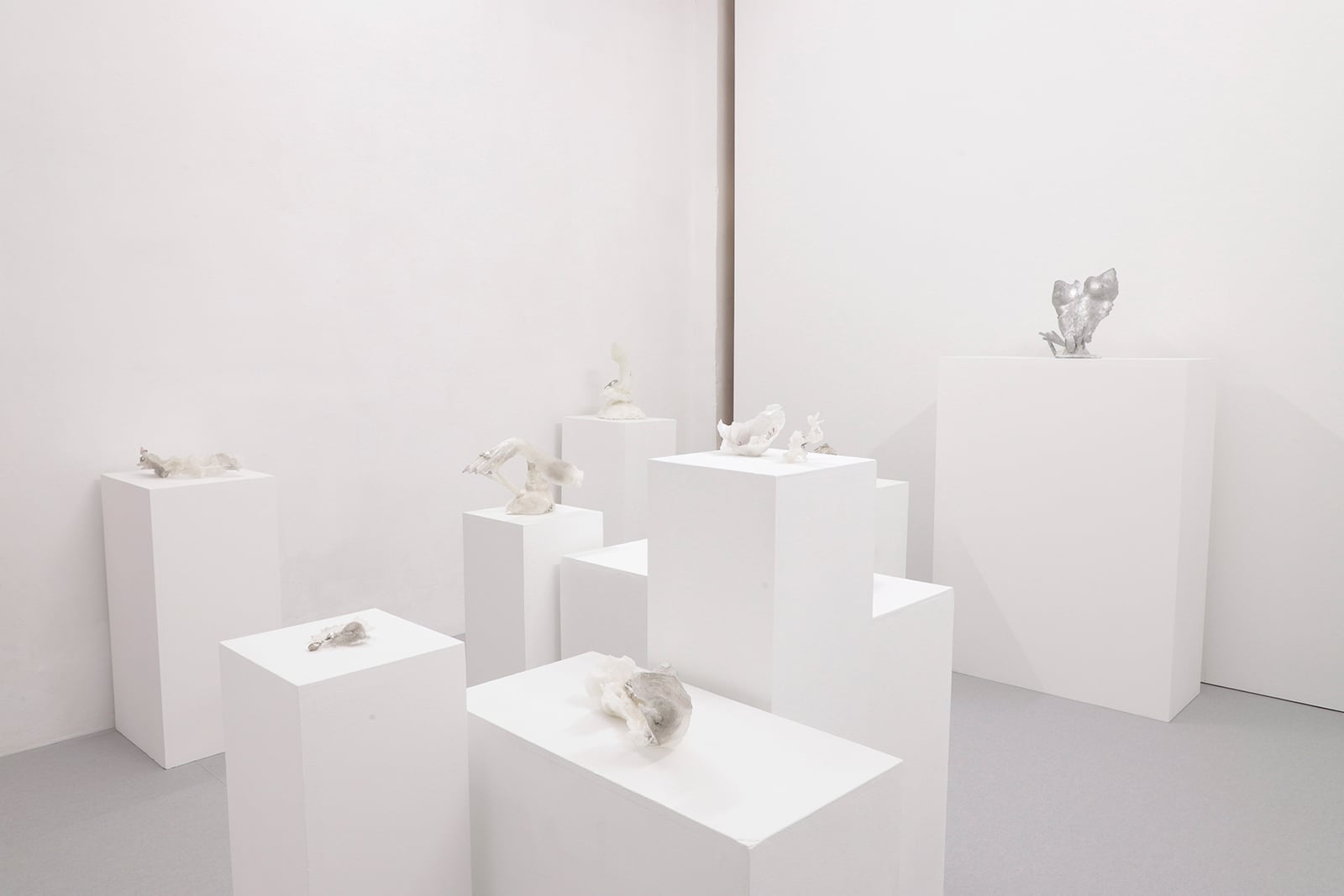 article image; primary-color: #DBD7D4;