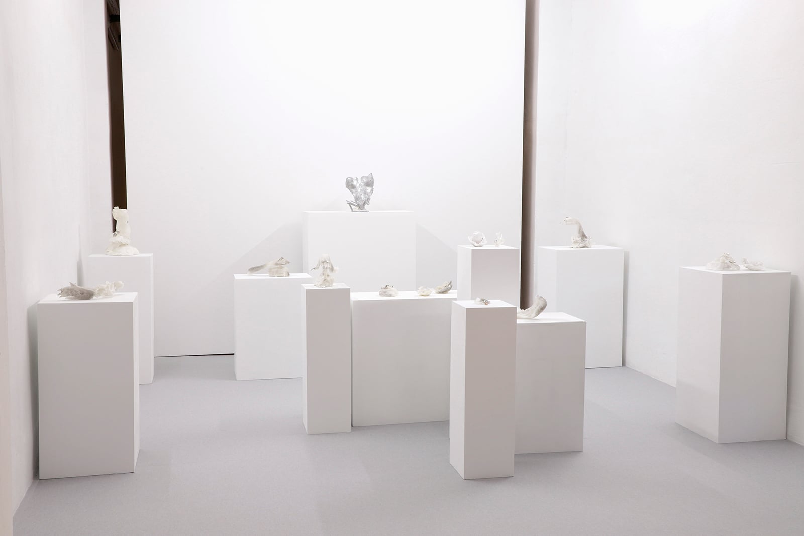 article image; primary-color: #D4D0D1;