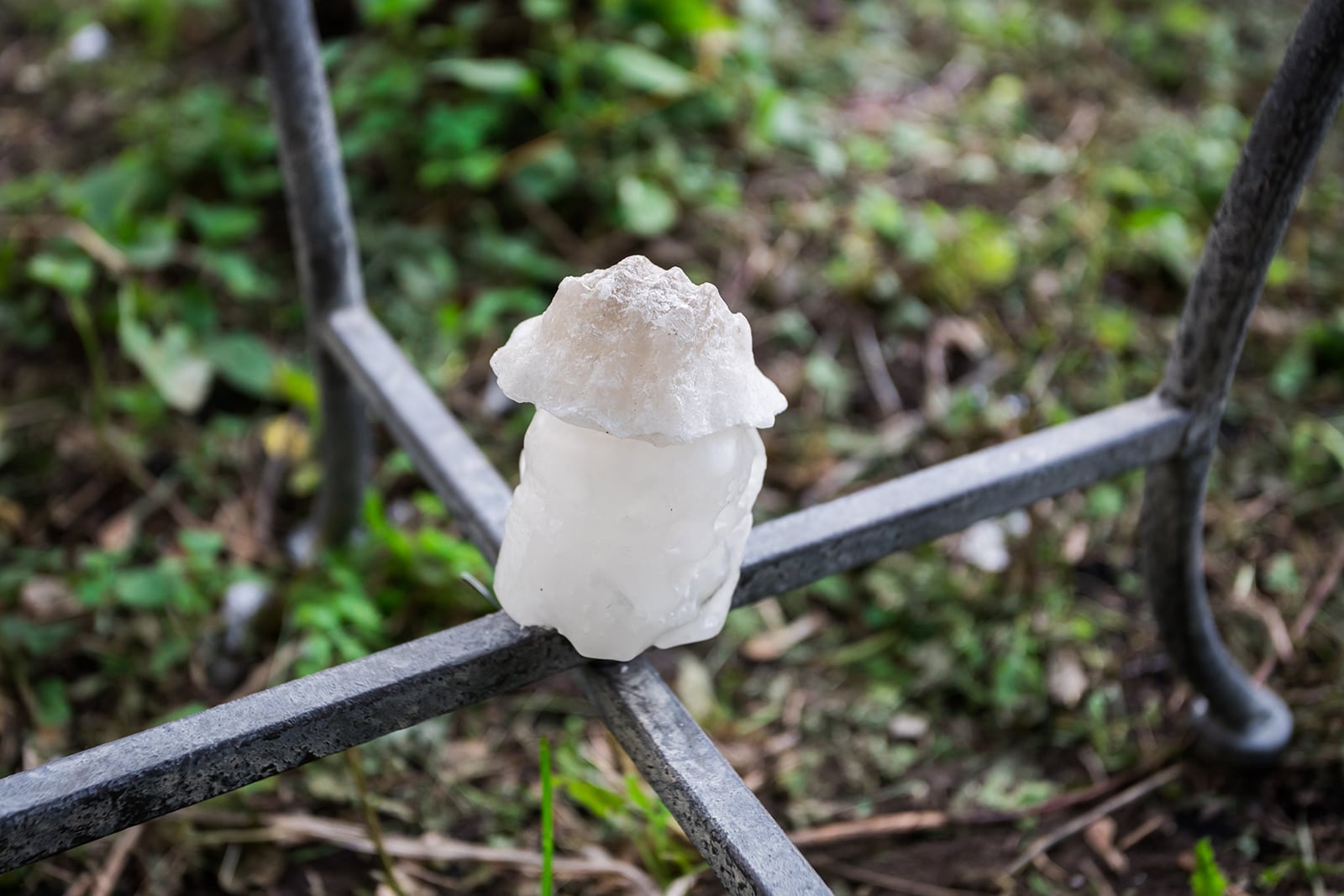 article image; primary-color: #585F4F;