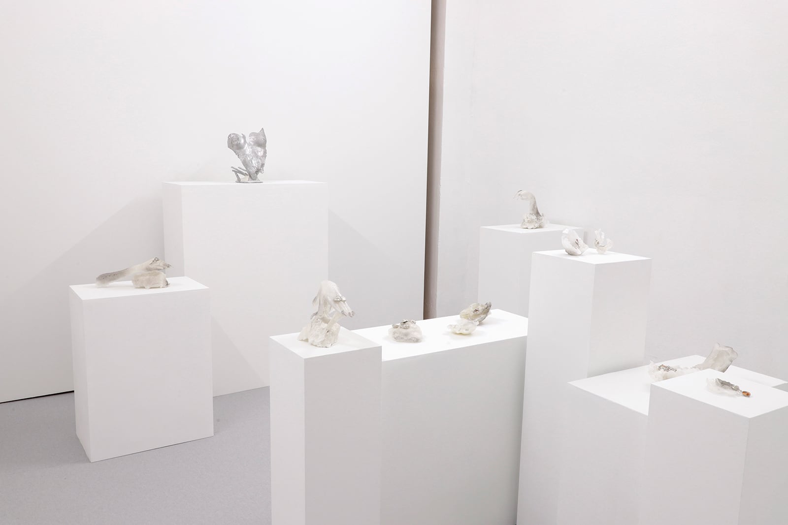 article image; primary-color: #DBD7D4;