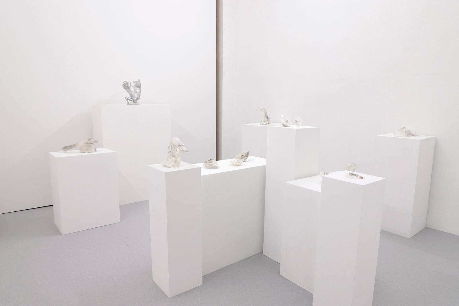 article image; primary-color: #D6D2D3;