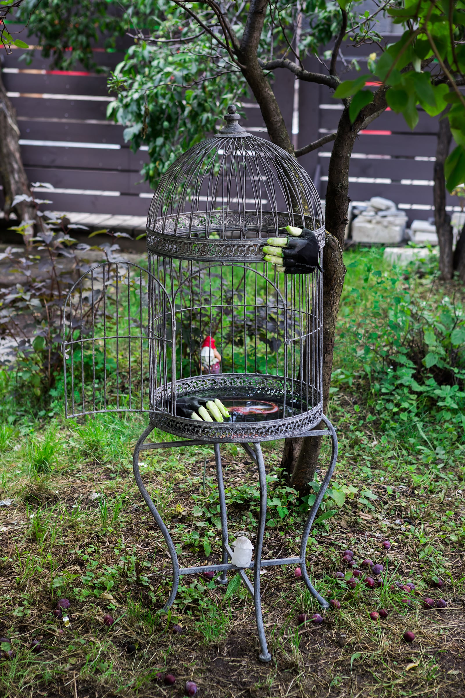 article image; primary-color: #515D47;