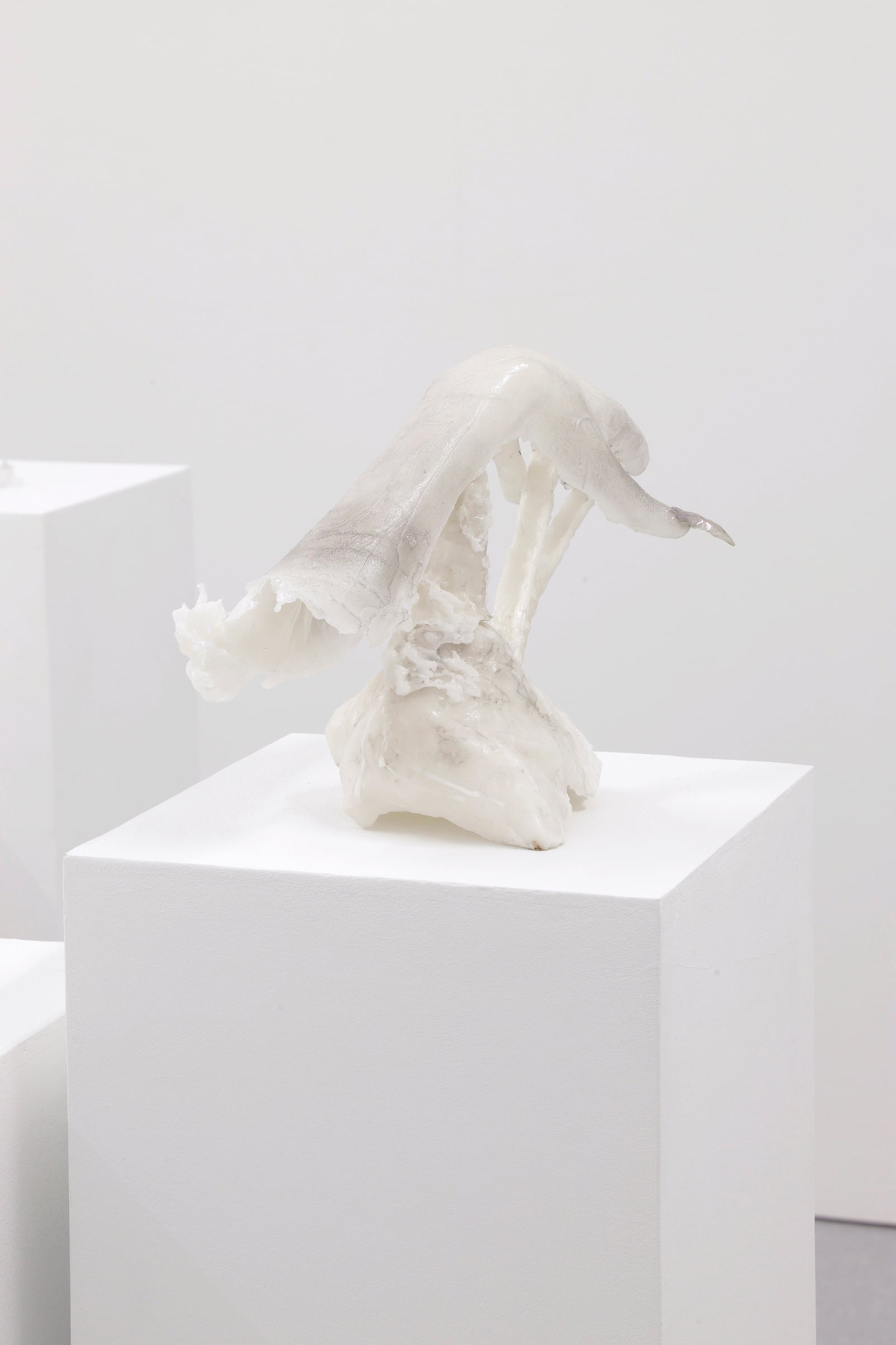 article image; primary-color: #DBD7D8;