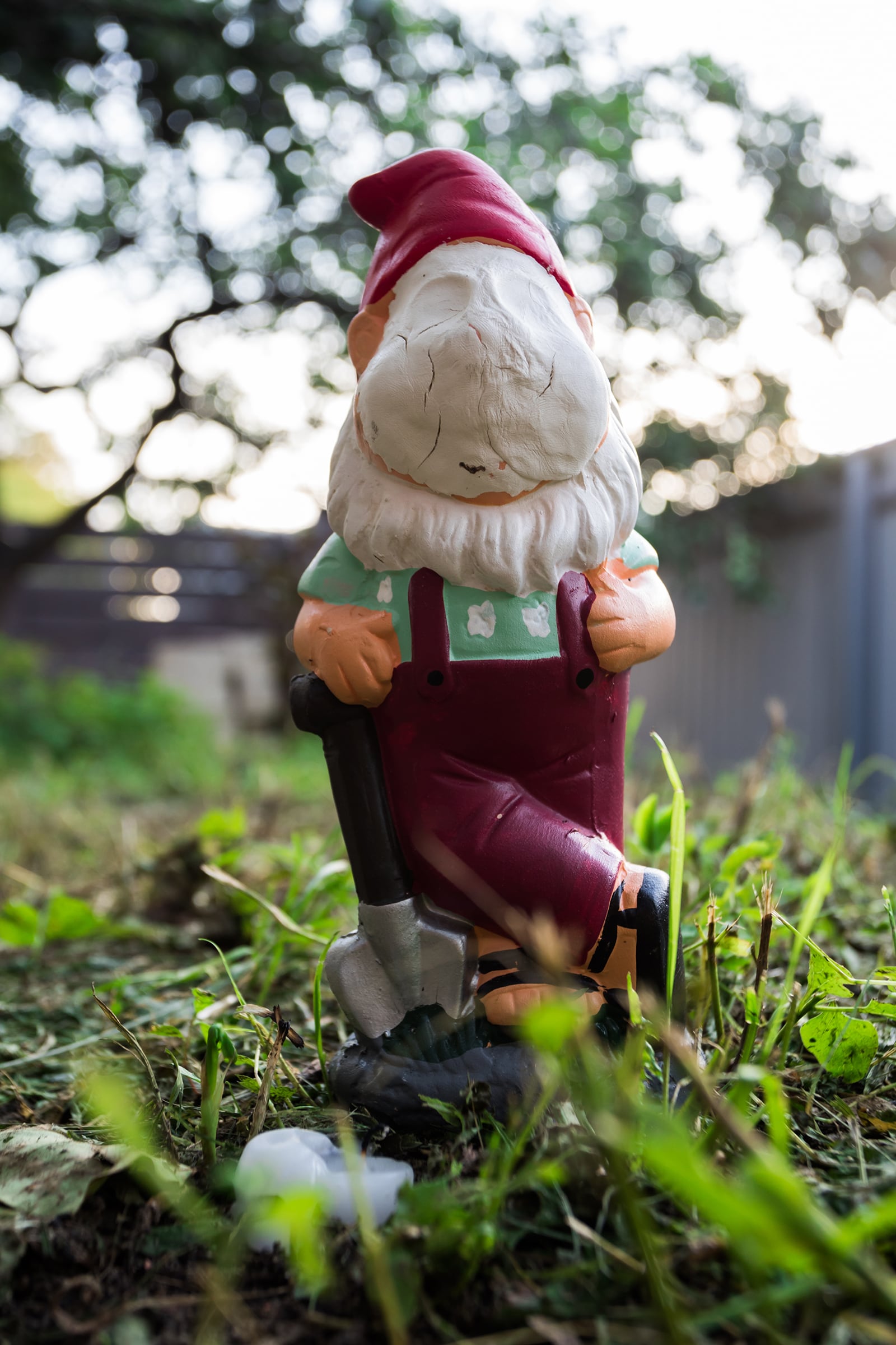 article image; primary-color: #7A7D6A;