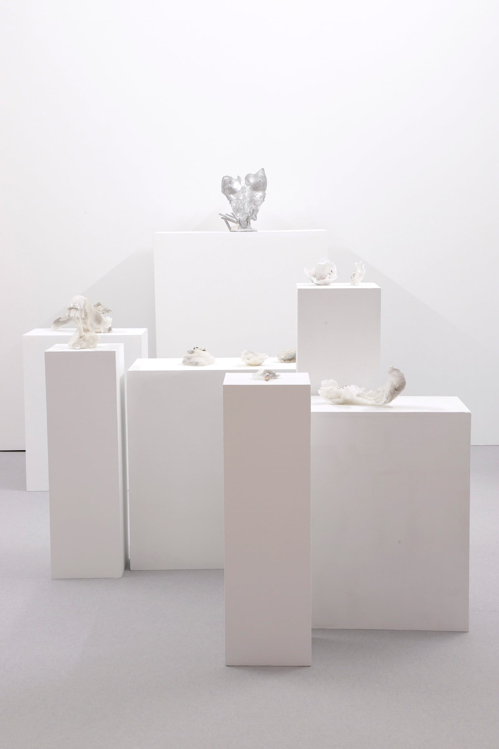 article image; primary-color: #D4D0D1;