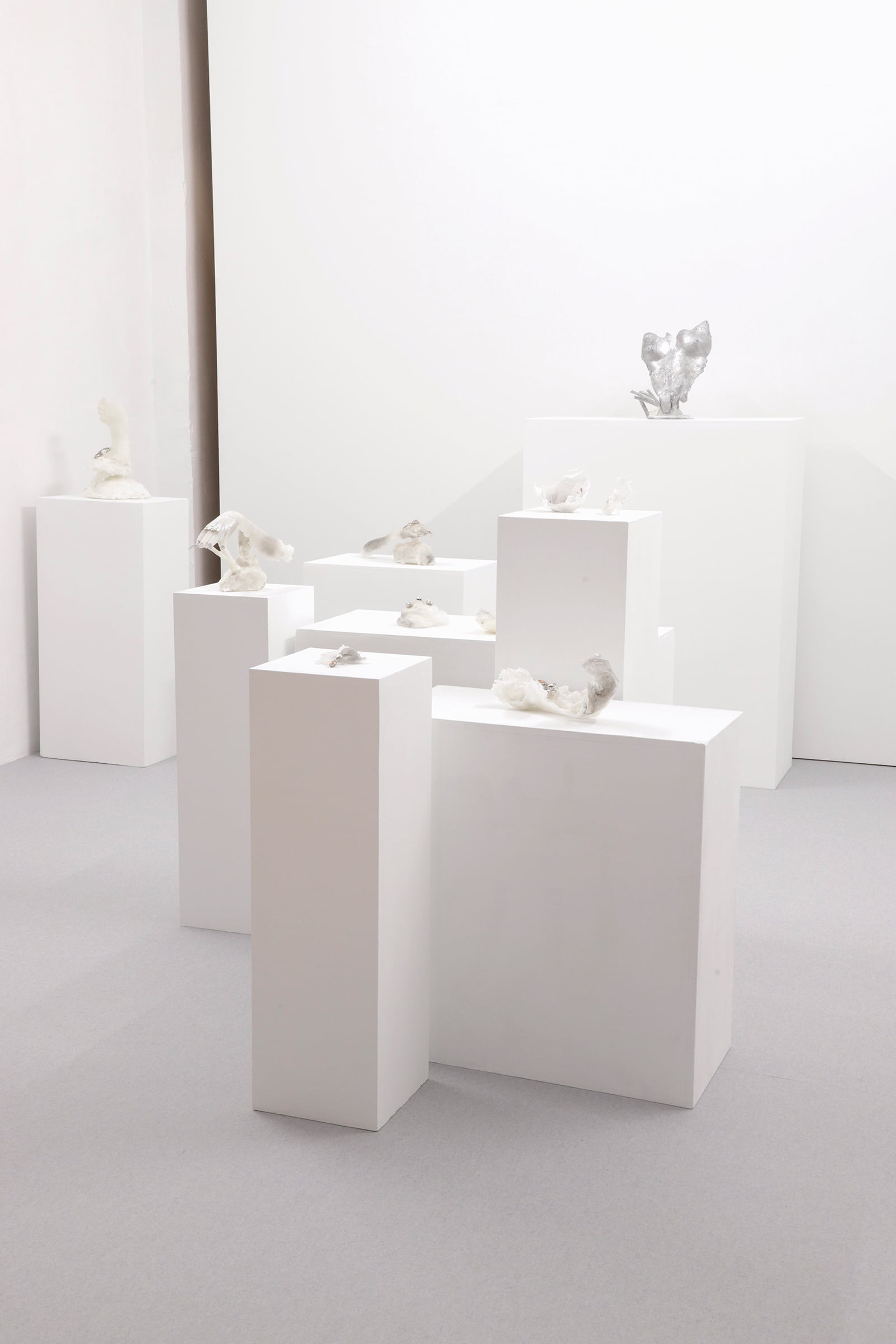 article image; primary-color: #D4D0CD;