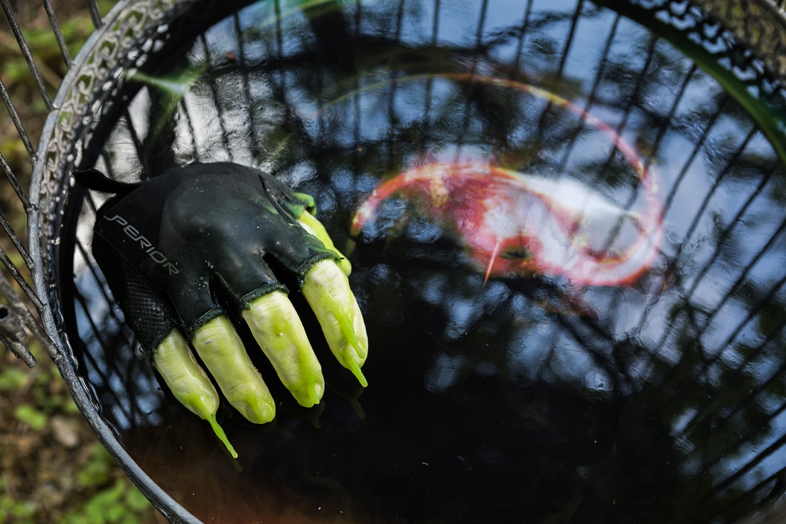 article image; primary-color: #3F4342;