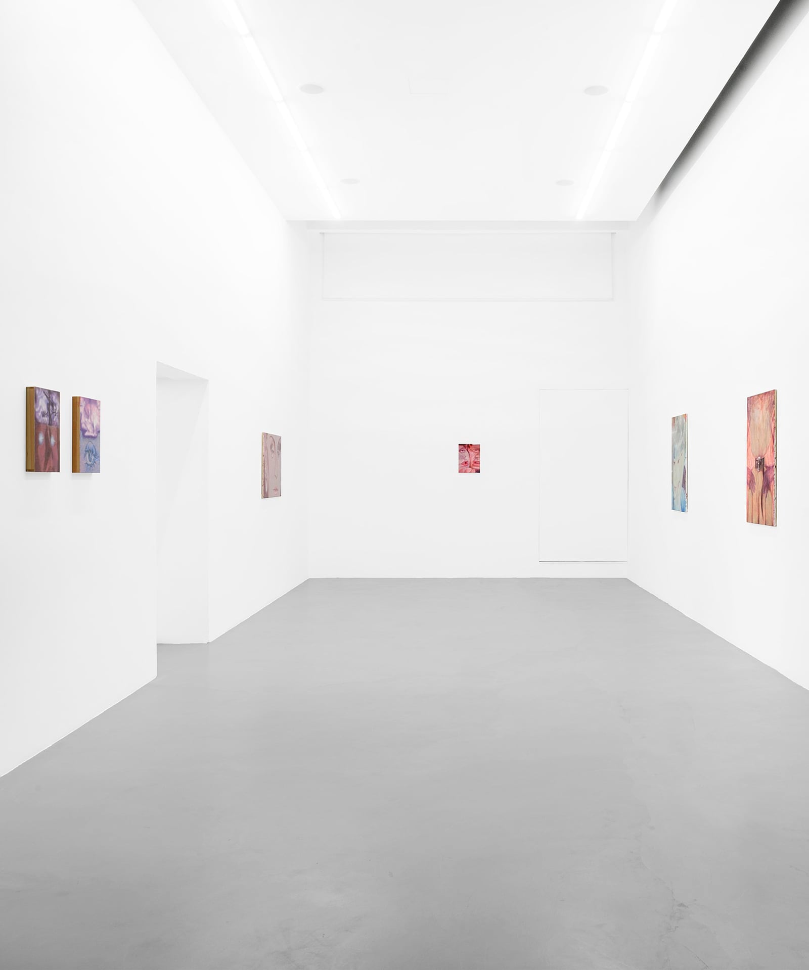 article image; primary-color: #DDDDDD;