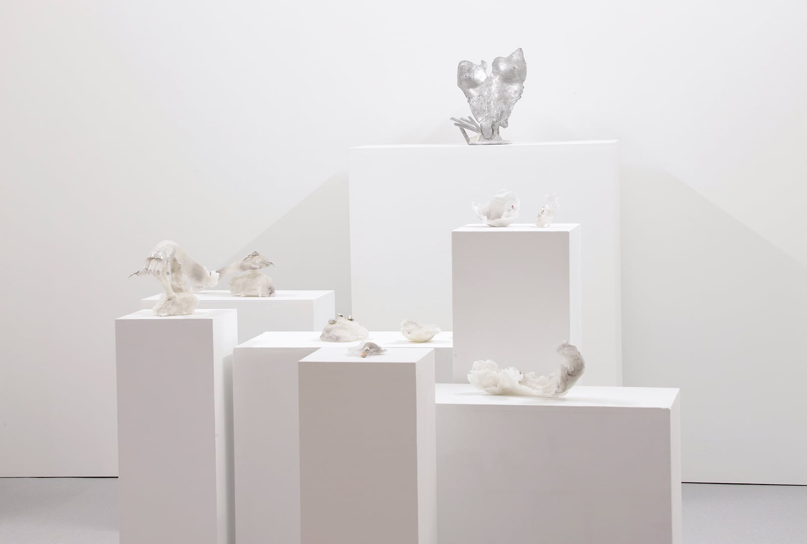 article image; primary-color: #D7D3D0;