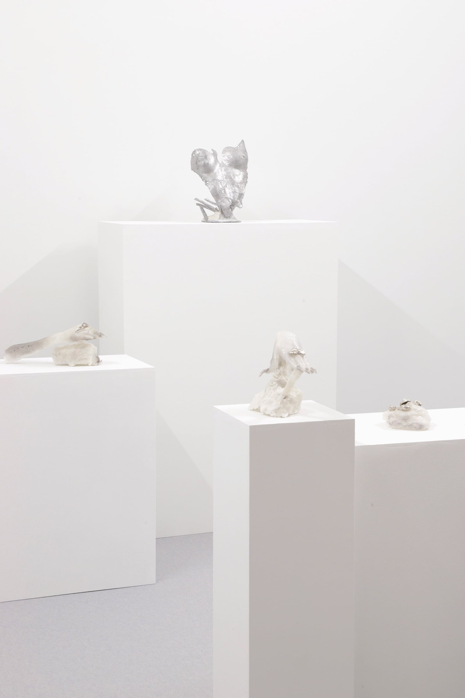 article image; primary-color: #E0DCD9;