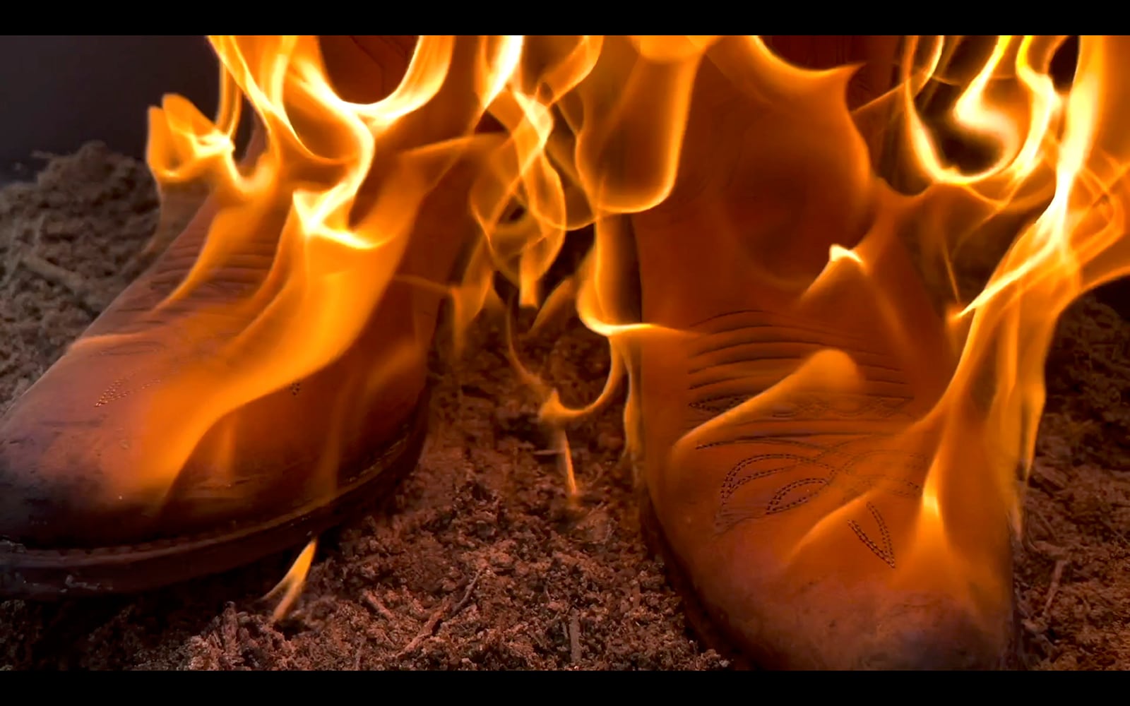 article image; primary-color: #70350D;