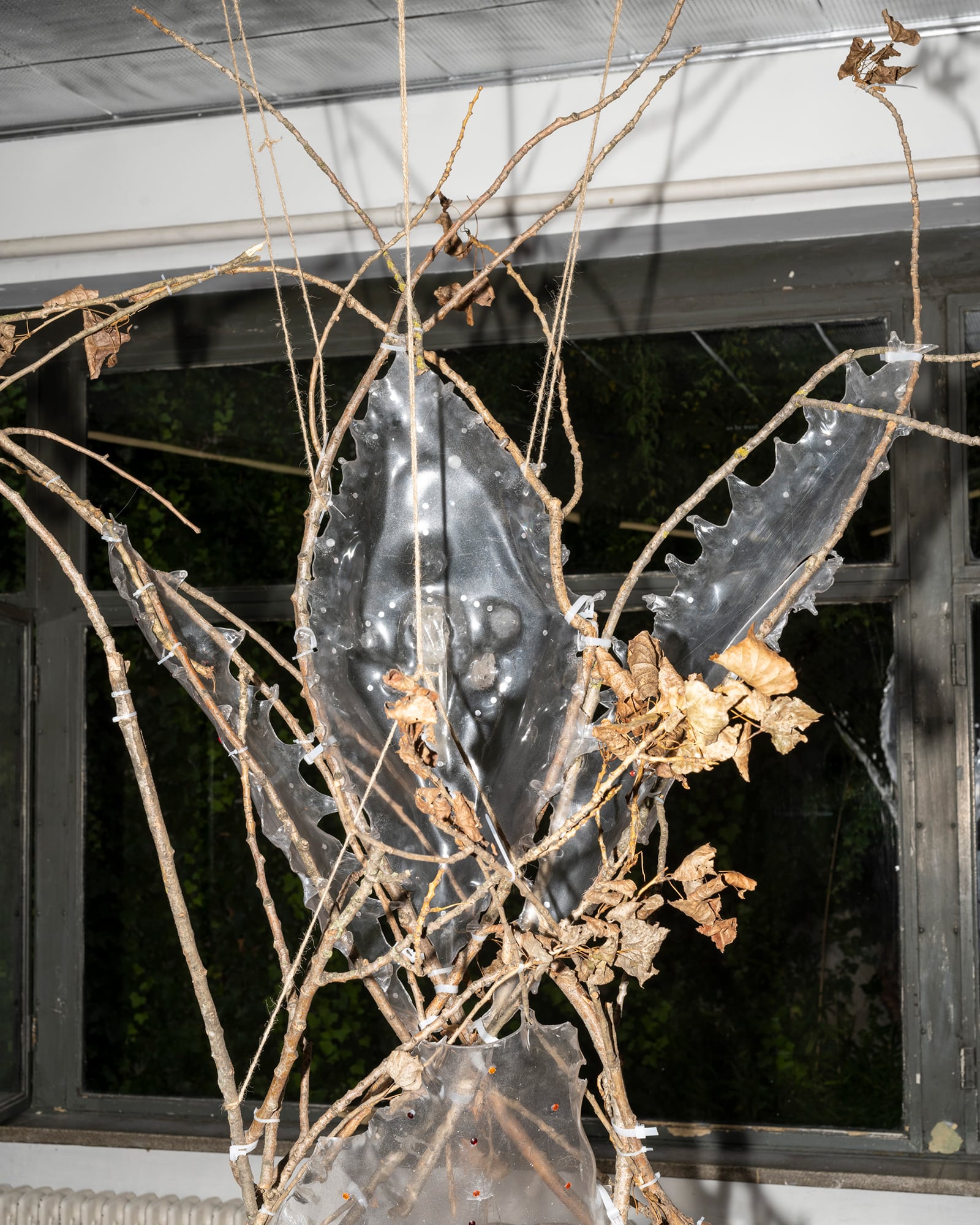 article image; primary-color: #6C655D;