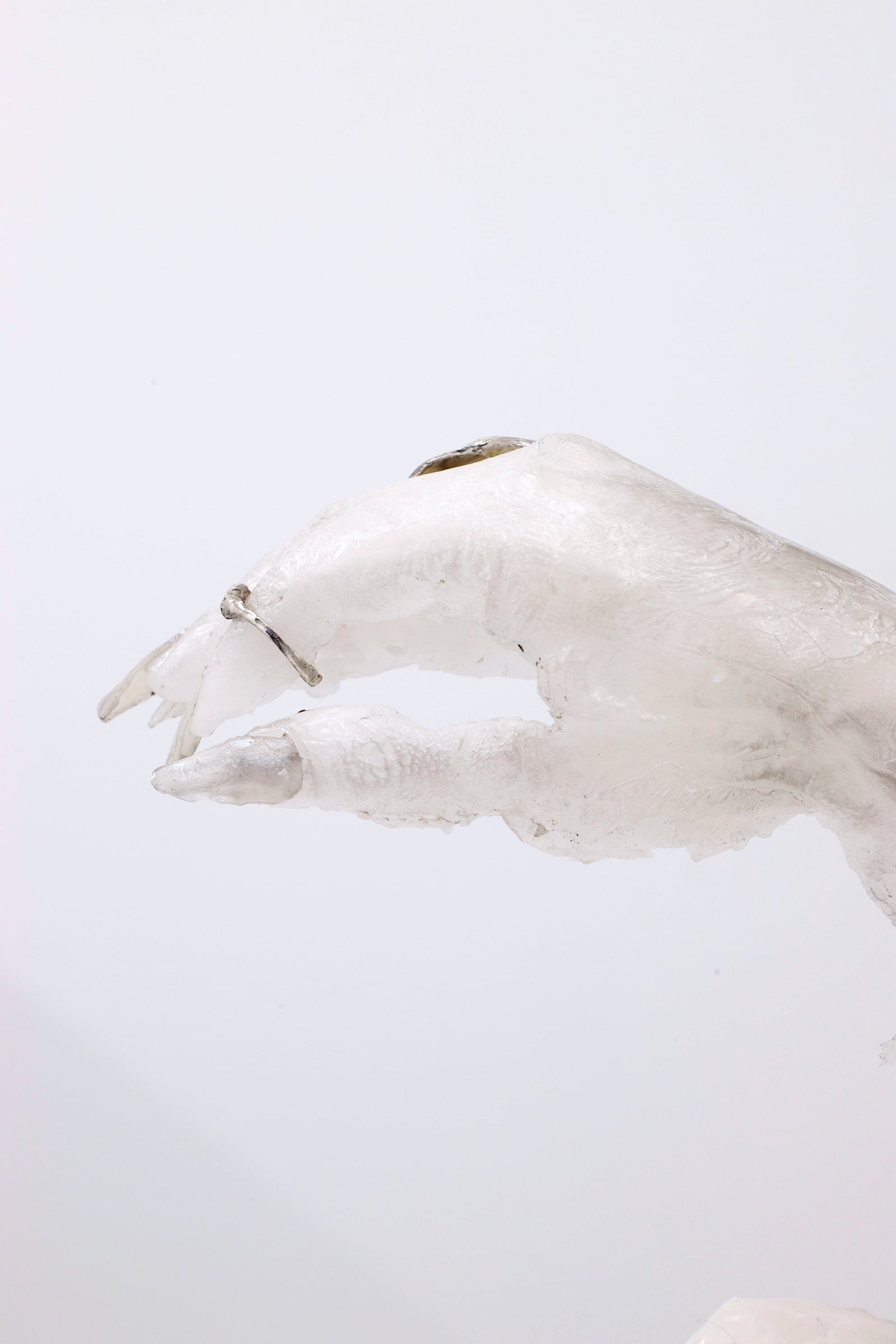 article image; primary-color: #E6E1E7;