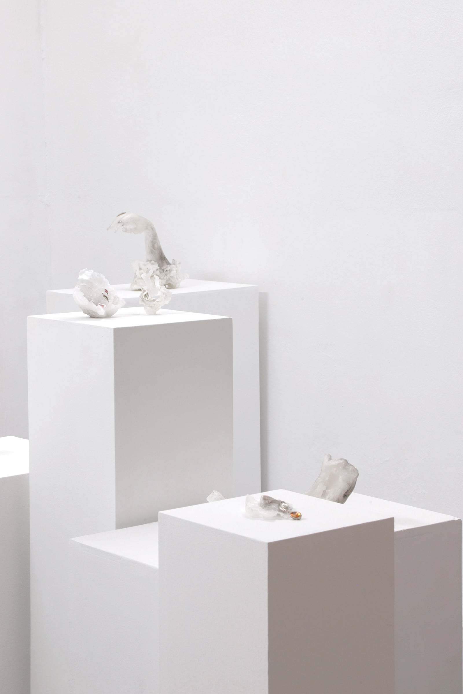 article image; primary-color: #D7D3D4;