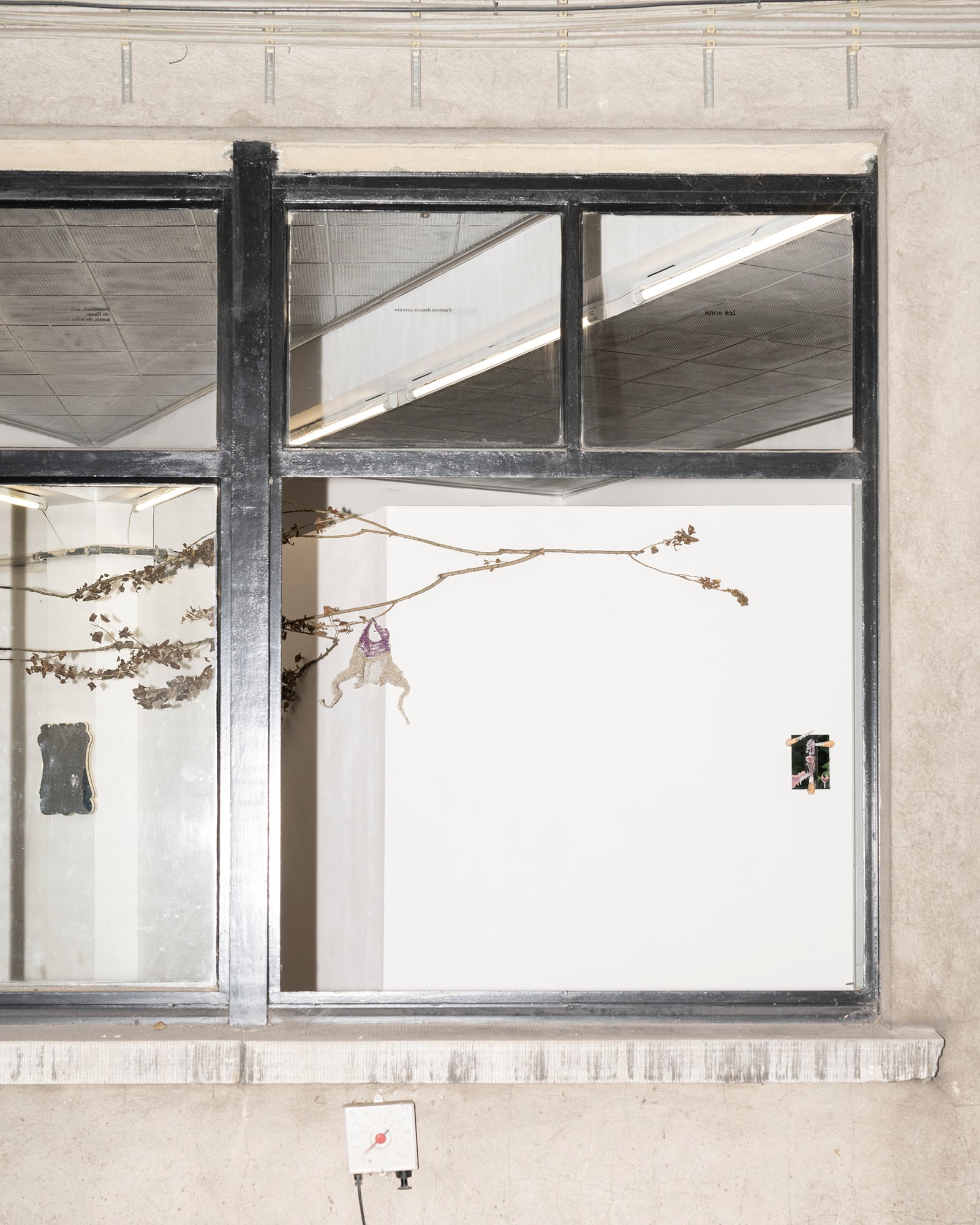 article image; primary-color: #C4BDB5;