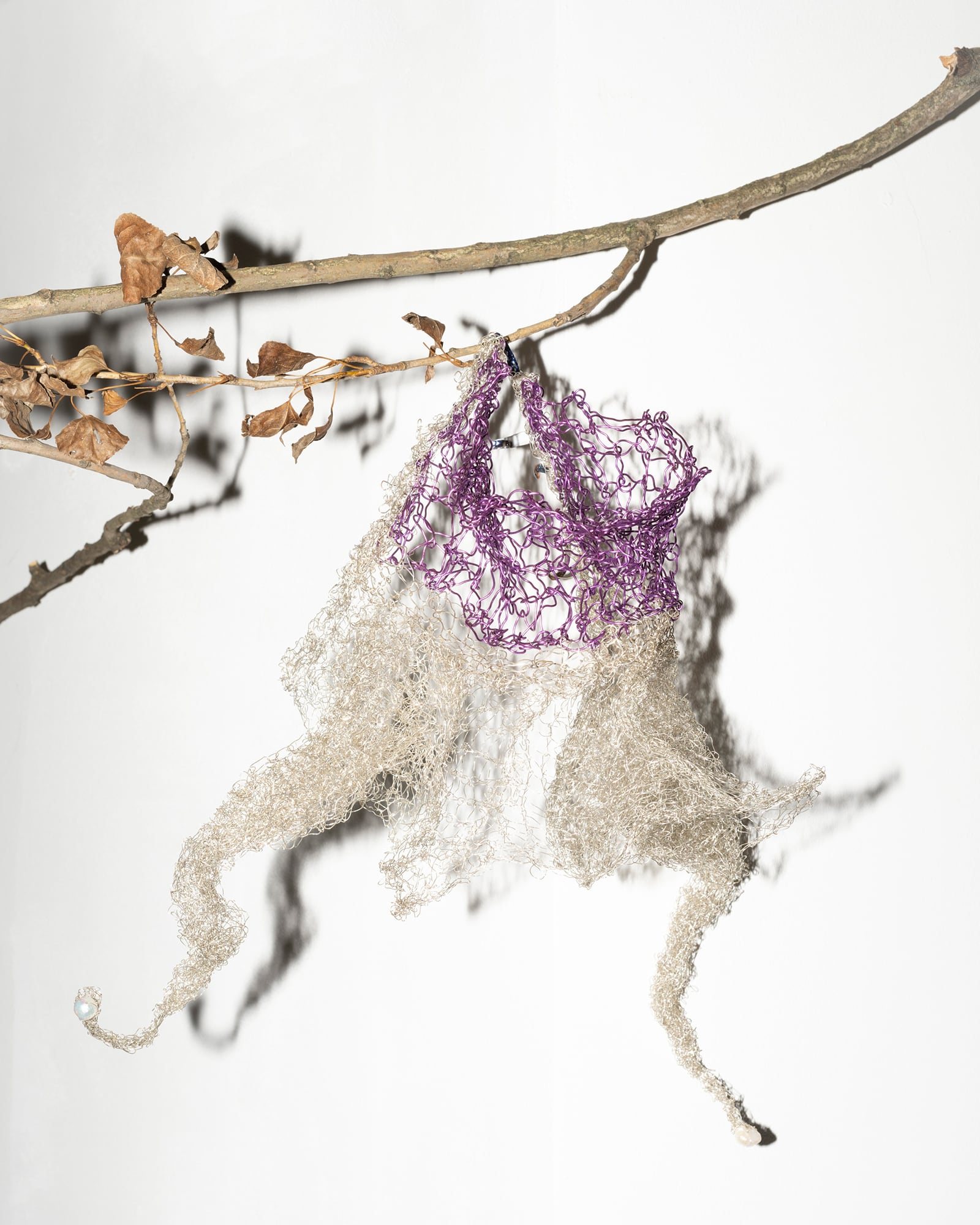 article image; primary-color: #E5E1DE;